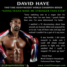 David Haye vegan