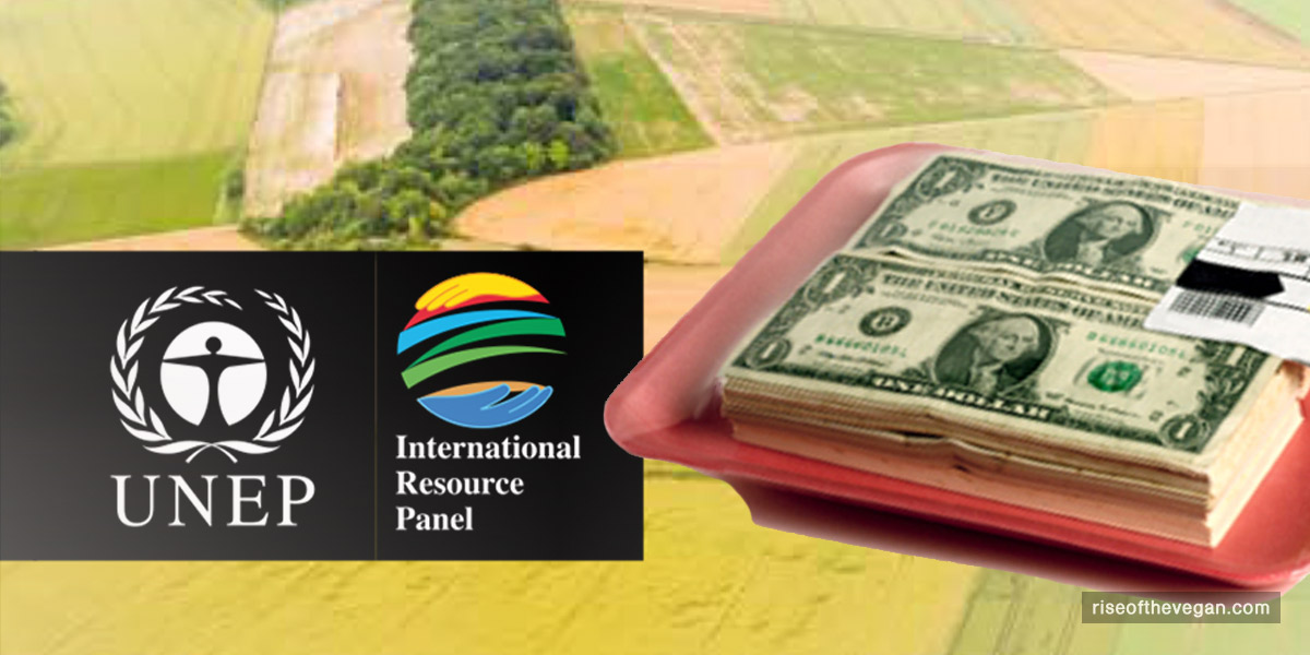 UN advises countries to tax meat industry and cut government subsidies to reduce consumption