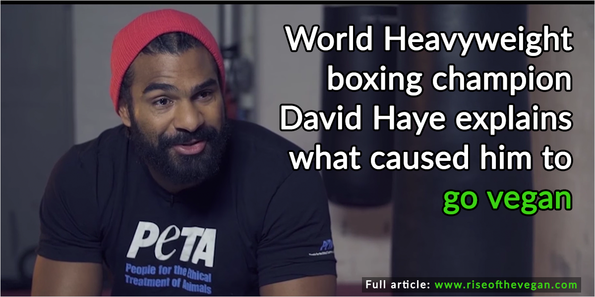 David Haye World Heavyweight Champion Boxer Explains Why He Went Vegan Video