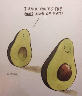 avocados - the good kind of fat