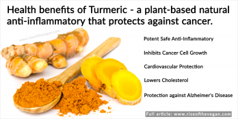 Turmeric (Haldi): Uses, Benefits, Side Effects, and More! - PharmEasy Blog